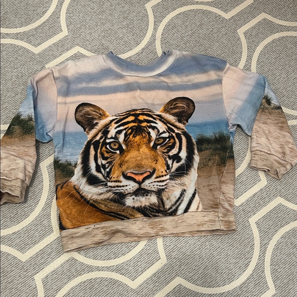 H&M Kids Tiger Graphic Sweatshirt - Blue and Tan